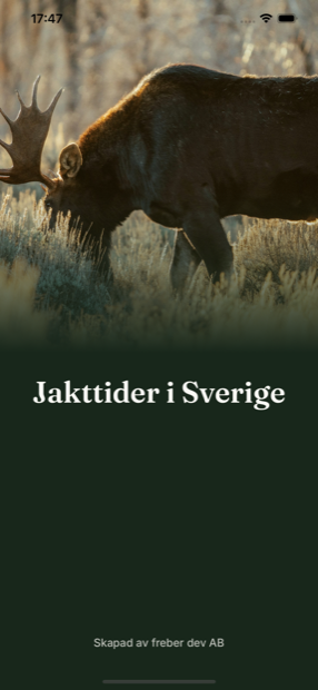 Startbild